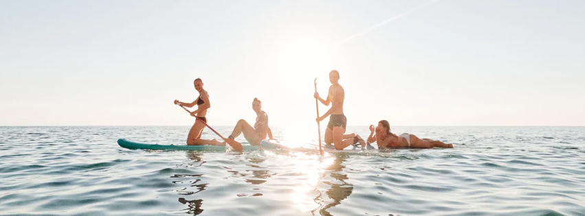 Paddle Boards & Surfboards