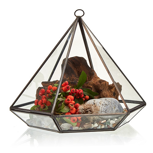 Glass Terrarium - Large Diamond | Captivating Mini Living Art