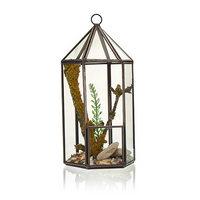 Glass Terrarium - Lantern Shape | Elegant Home Decor