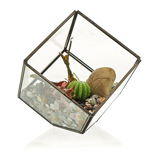 Glass Terrarium - Cube on Corner | Stunning Geometric Design | Perfect for Succulents, Air Plants, or Jewelry Organization