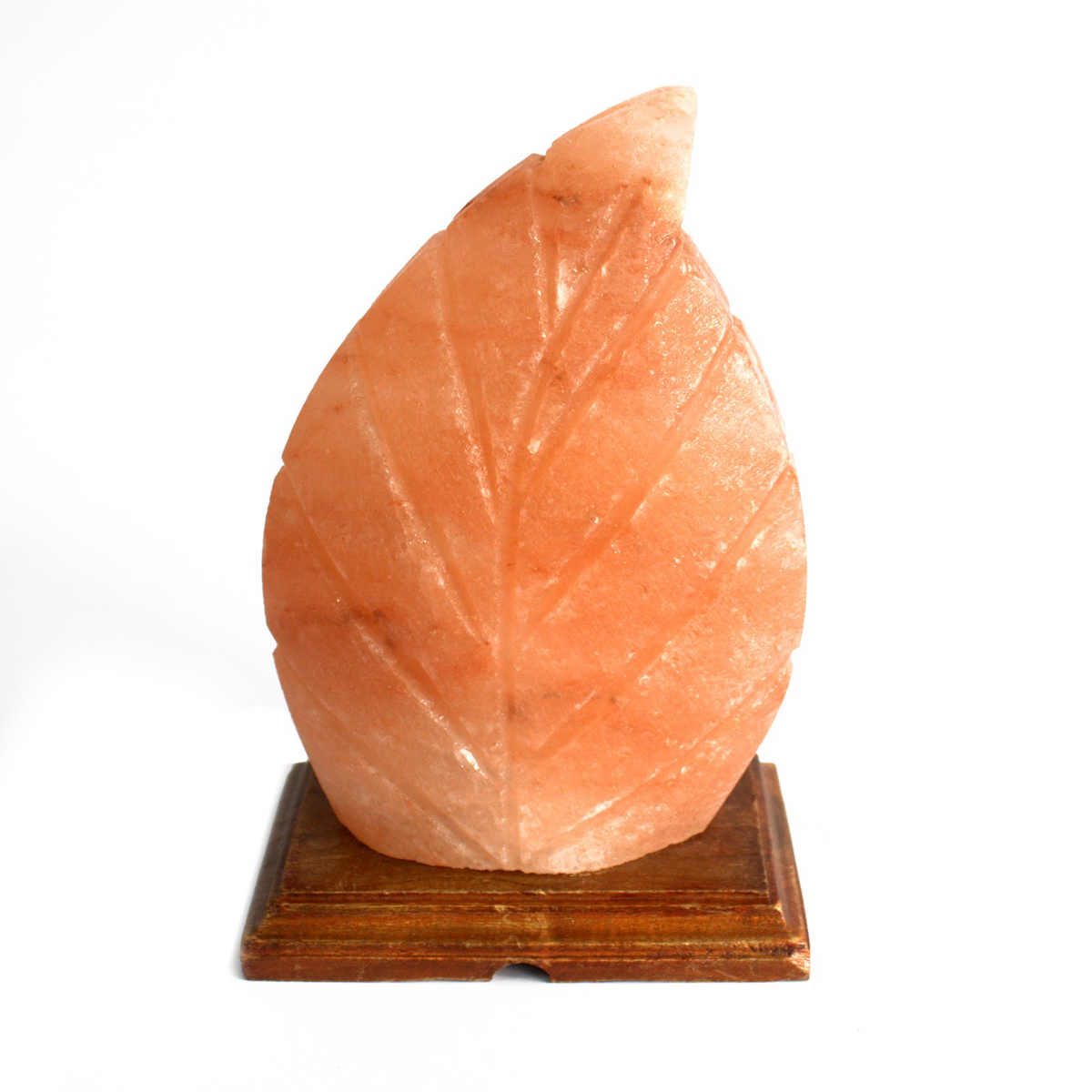 Shape Salt Lamp - Fern | Create a Calming and Healthy Atmosphere