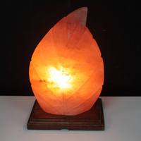 Shape Salt Lamp - Fern | Create a Calming and Healthy Atmosphere