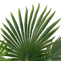 Artificial Plant Palm with Pot Green 70 cm - Lifelike Décor for Home or Office