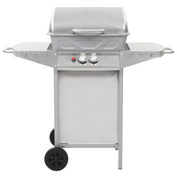 Gas BBQ Grill with 2 Cooking Zones - Silver Stainless Steel | Outdoor Cooking Feast