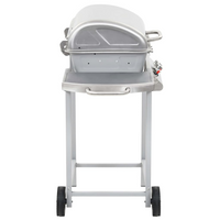 Gas BBQ Grill with 2 Cooking Zones - Silver Stainless Steel | Outdoor Cooking Feast