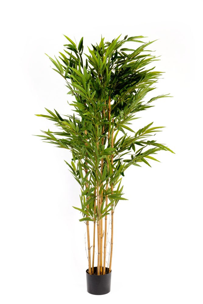 6ft Artificial Bamboo Tree - Realistic Foliage, Indoor/Outdoor Use