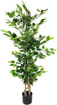 Artificial Ficus Tree with Natural Trunk 125cm - Realistic Indoor or Outdoor Plant