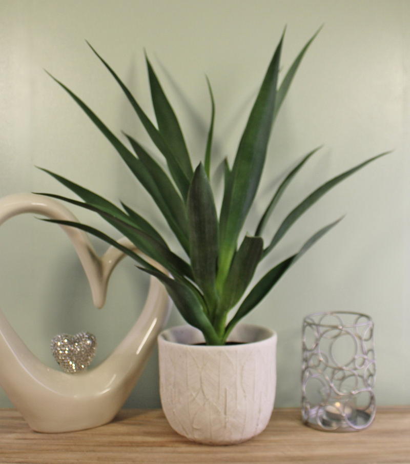 Artificial Yucca Plant, 60cm - Realistic Indoor Decor - Free Shipping