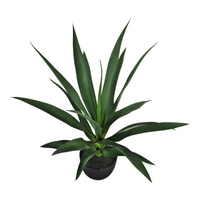 Artificial Yucca Plant, 60cm - Realistic Indoor Decor - Free Shipping