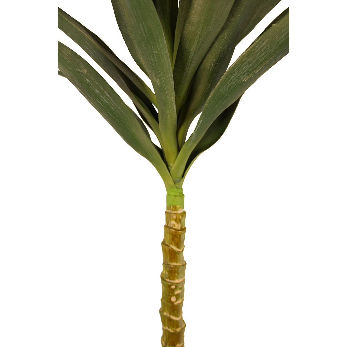 Artificial Single Trunk Yucca Tree, 100cm - Realistic Indoor Decor