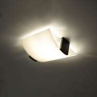 Emilio Ceiling Lamp - Stylish Wood and Matte Glass Design