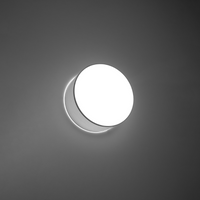 Ceiling Lamp ARENA Gray - Modern and Elegant Lighting