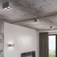 Modern Ceiling Lamp QUAD Grey - Stylish Lighting for Minimalistic Interiors