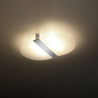 Ceiling Lamp SALIA - Universal Wall Lamp and Luminaire