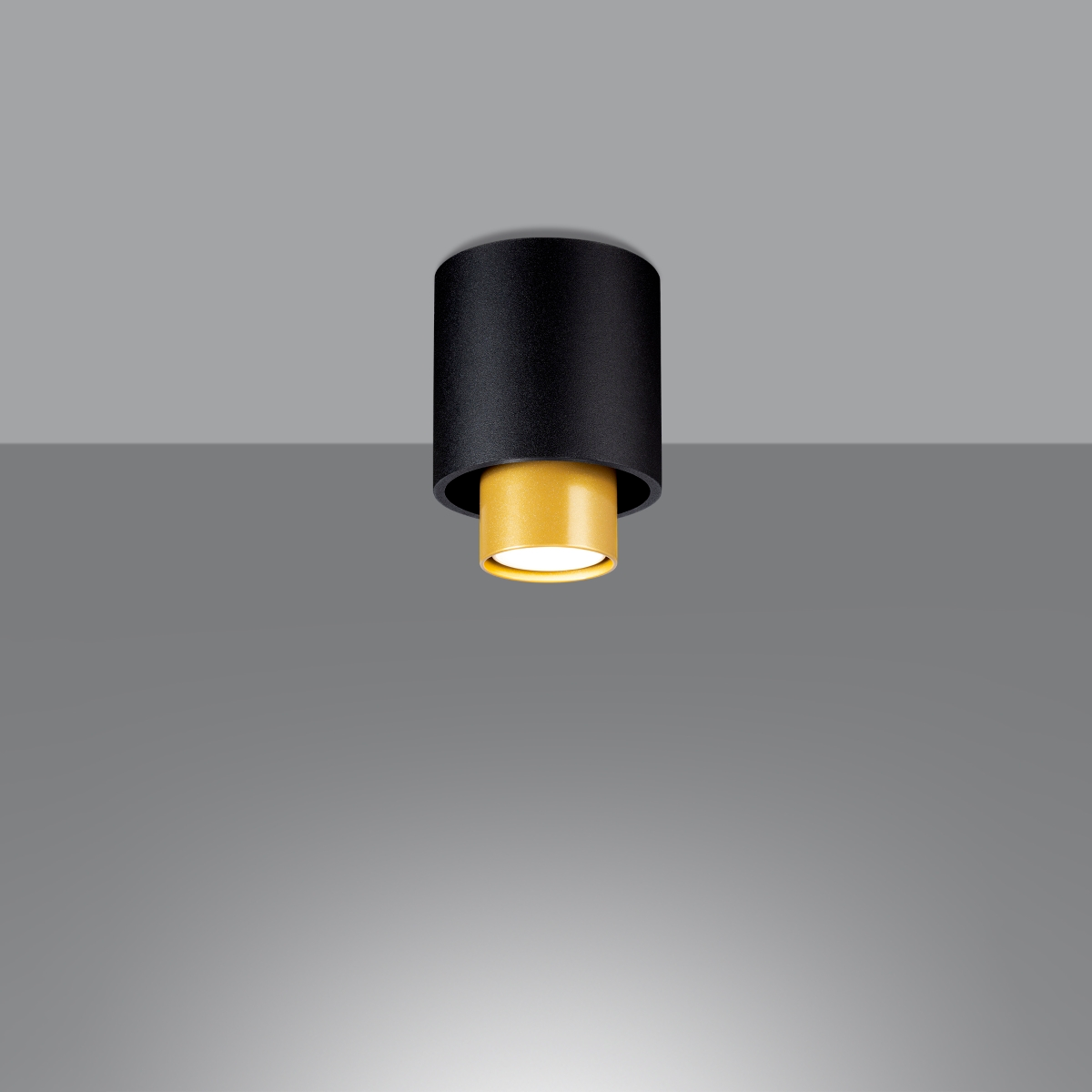 NESI Black Ceiling Lamp - Add Style and Elegance to Your Space