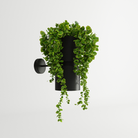 Wall lamp KUKKIA black - Enhance your space with moody symbiosis of light and nature