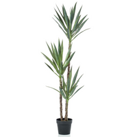 Emerald Artificial Yucca 150 cm in Pot - Lifelike Indoor Plant