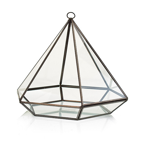 Glass Terrarium - Large Diamond | Captivating Mini Living Art