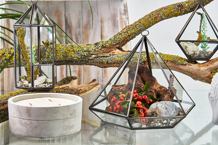 Glass Terrarium - Large Diamond | Captivating Mini Living Art