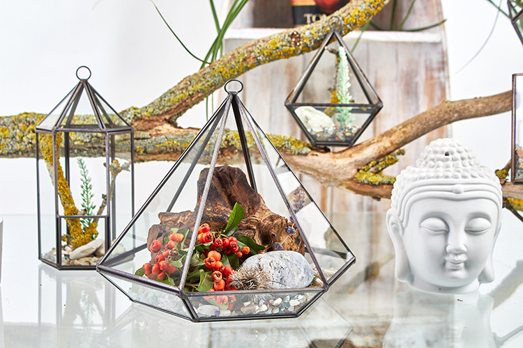 Glass Terrarium - Large Diamond | Captivating Mini Living Art