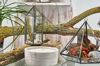 Glass Terrarium - Lantern Shape | Elegant Home Decor