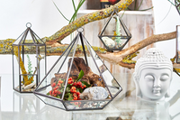 Glass Terrarium - Lantern Shape | Elegant Home Decor