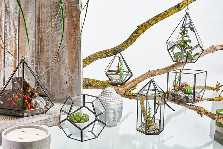 Glass Terrarium - Cube on Corner | Stunning Geometric Design | Perfect for Succulents, Air Plants, or Jewelry Organization