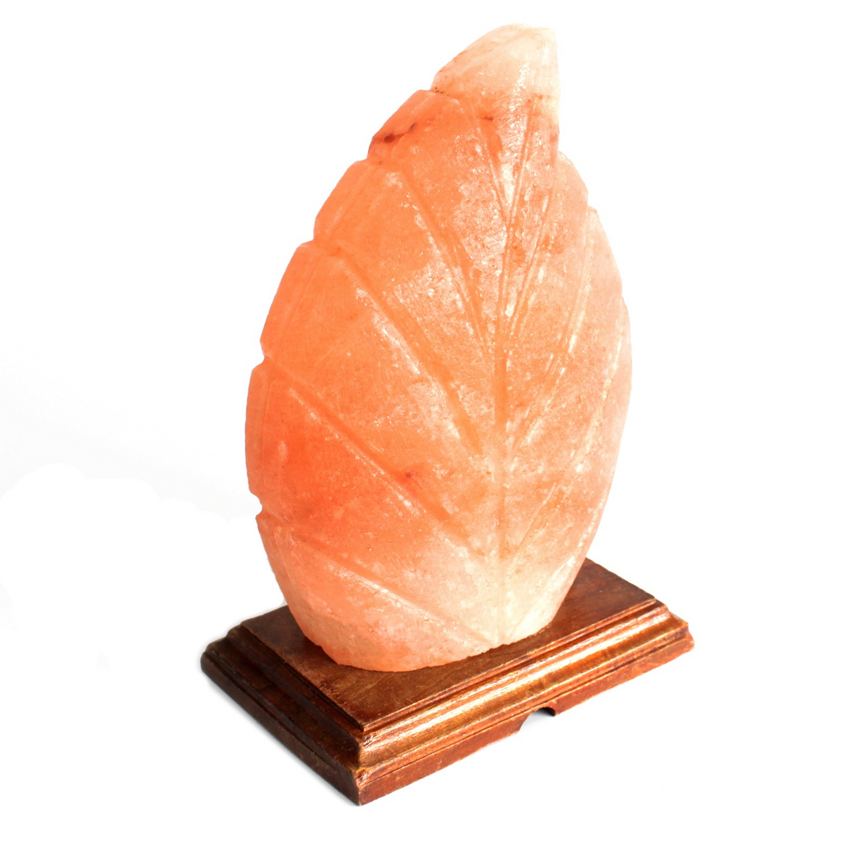 Shape Salt Lamp - Fern | Create a Calming and Healthy Atmosphere