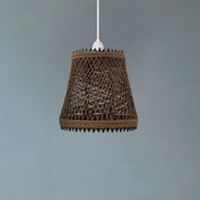 Woven Rattan Creative Lamp Cage With Free Reducer Plate ~1970