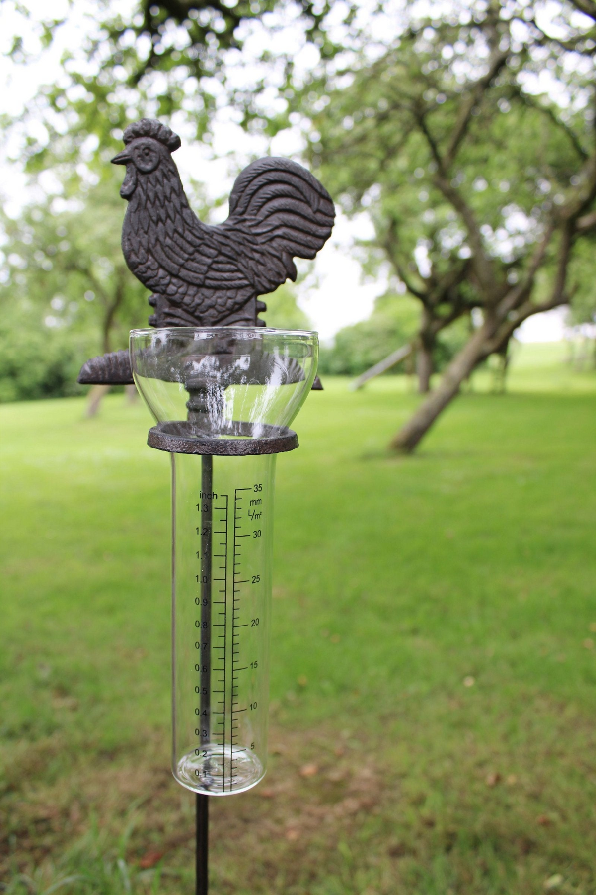 Cast Iron and Glass Garden Rain Gauge, Chicken - Measure and Monitor Garden Rainfall with Style