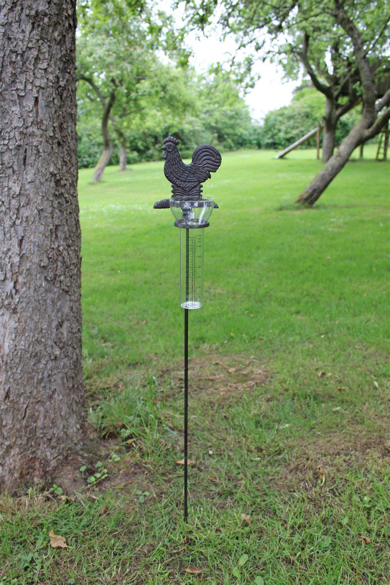 Cast Iron and Glass Garden Rain Gauge, Chicken - Measure and Monitor Garden Rainfall with Style