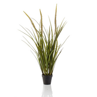 Emerald Artificial Foxtail Grass 90 cm in Pot - Realistic and Low Maintenance