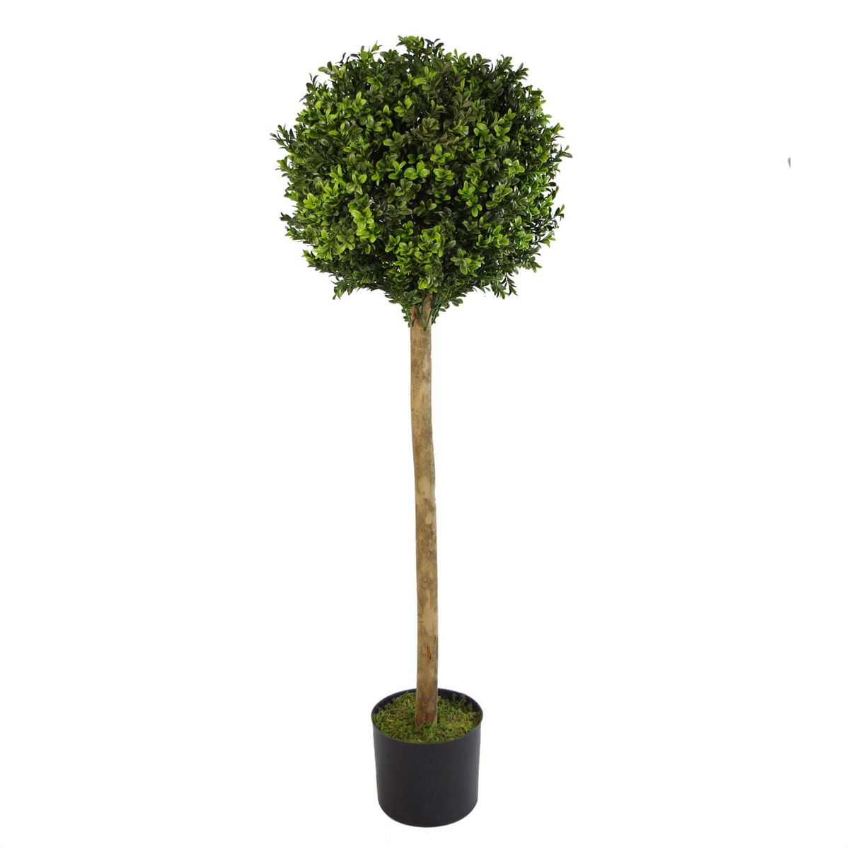 Artificial Boxwood Buxus Topiary Tree 120cm Trunk - Realistic Design