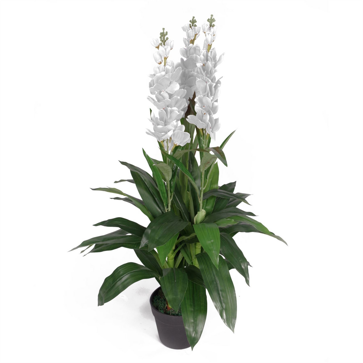 Artificial Cymbidium Orchid Plant | White Flowers | 100cm | Leaf Design