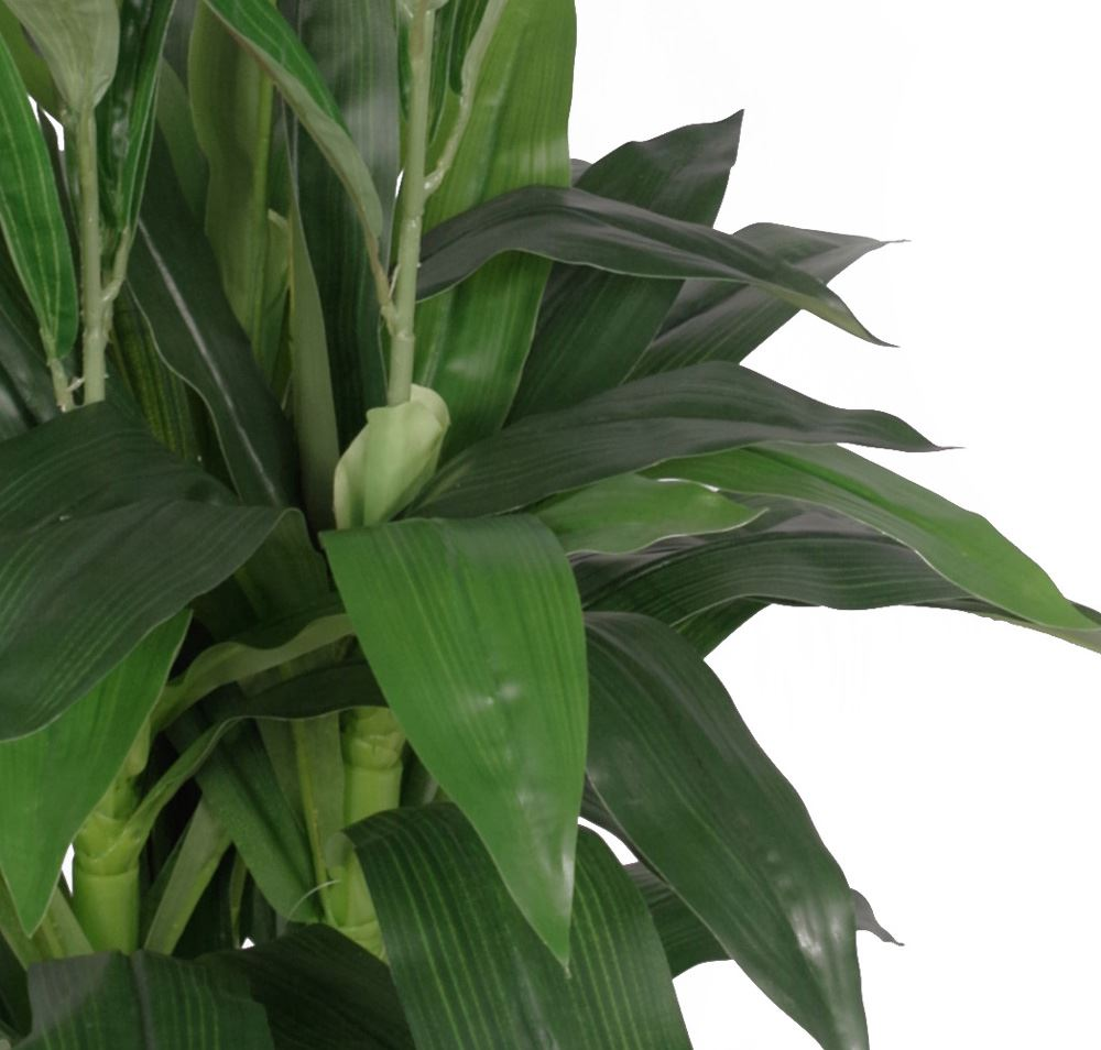 Artificial Cymbidium Orchid Plant | White Flowers | 100cm | Leaf Design