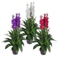 Artificial Cymbidium Orchid Plant | White Flowers | 100cm | Leaf Design