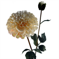 6 x Dhalia PomPom Artificial Flowers Cream - High Attention to Detail