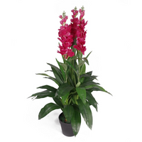 Artificial Cymbidium Orchid Plant Purple - Vibrant and Realistic | Leaf Design UK