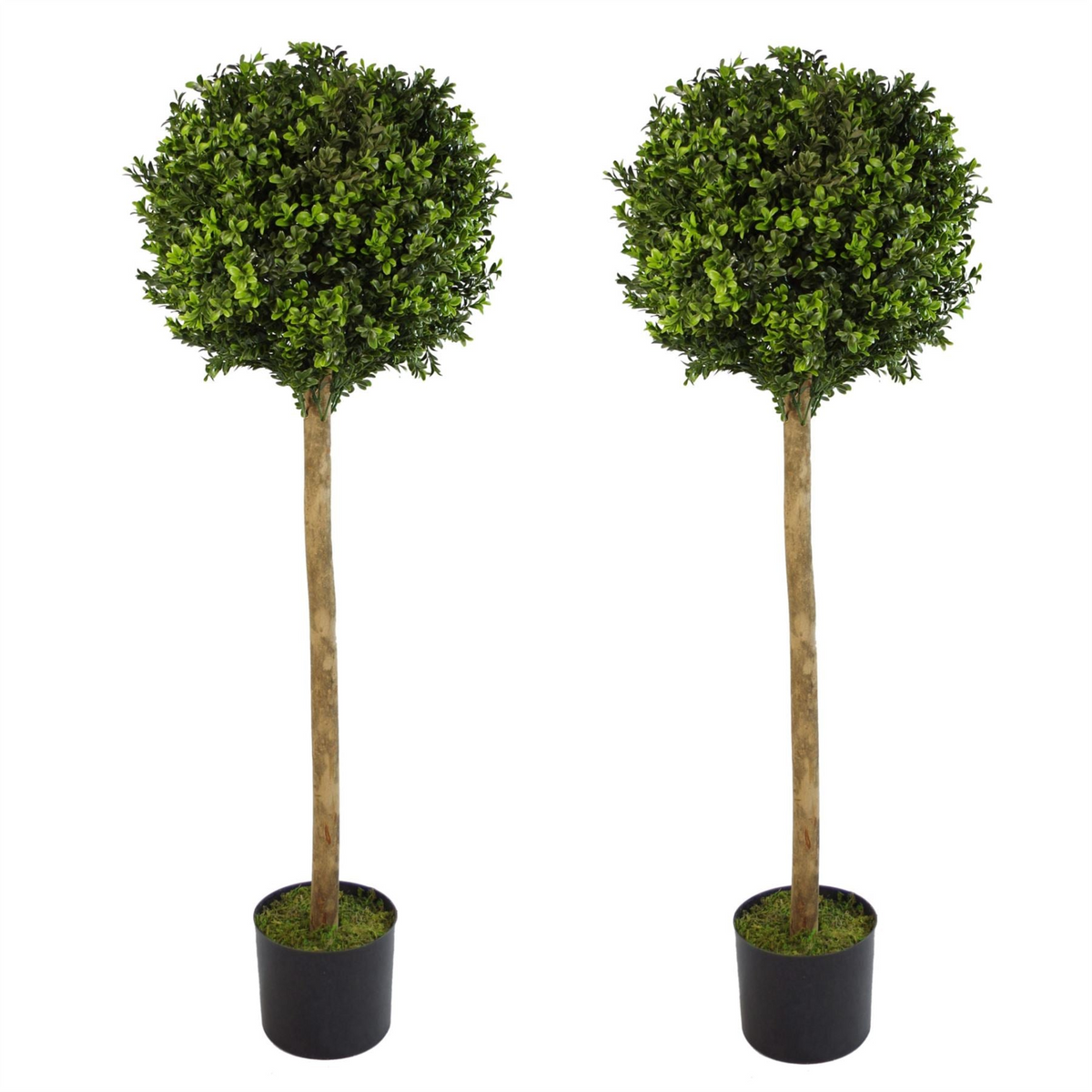 Artificial Boxwood Buxus Topiary Tree 120cm Trunk | Realistic Foliage | Indoor/Outdoor Use