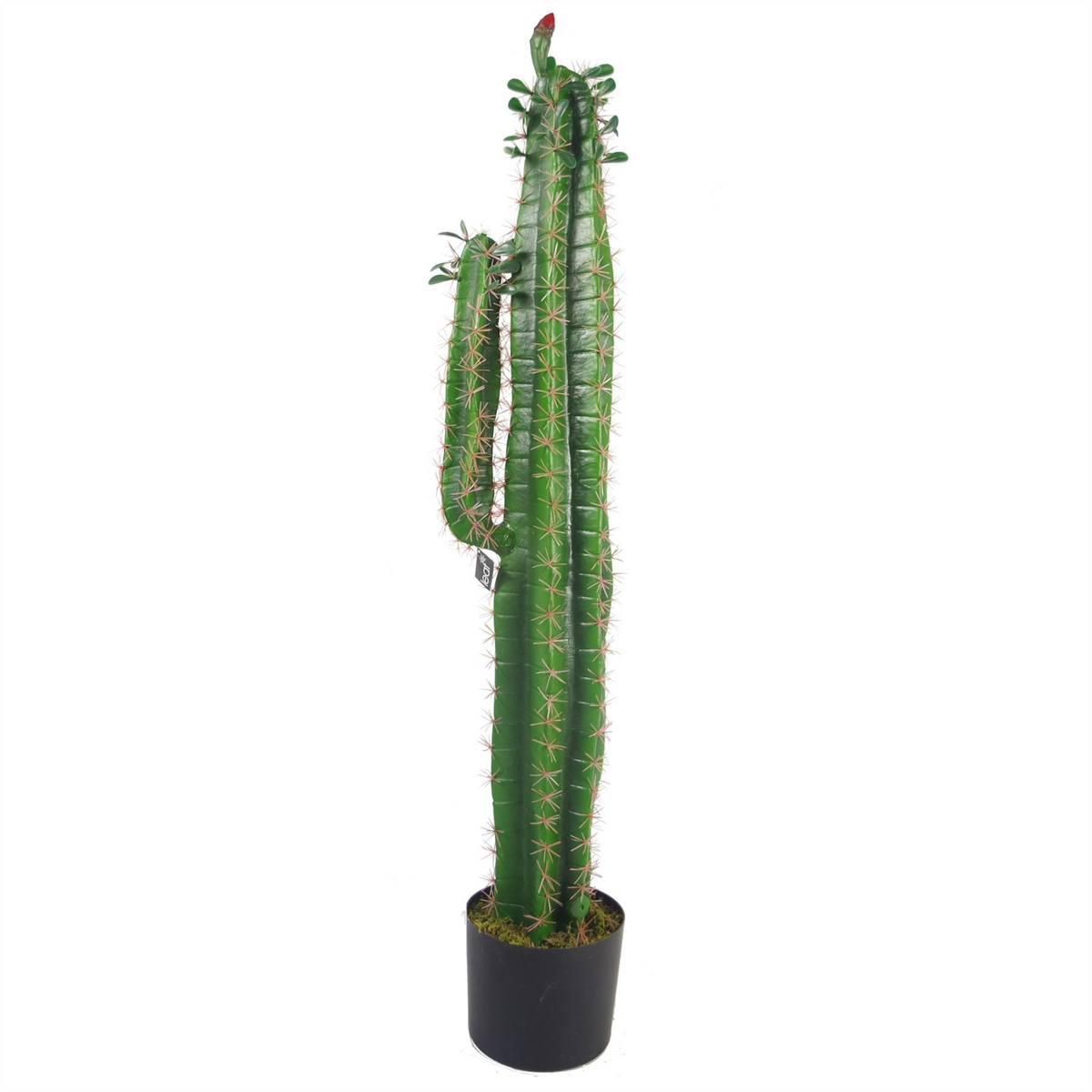 Artificial Cactus Cacti Plant Black Pot 110cm - Exotic Plant Decor