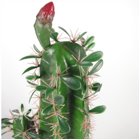 Artificial Cactus Cacti Plant Black Pot 110cm - Exotic Plant Decor