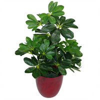 Artificial Arboricola Plant Umbrella Tree - Lifelike Botanical Decor