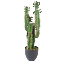 Artificial Cactus Cacti Plant Black Pot 65cm Plants - Lifelike and Maintenance-Free