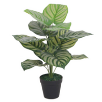 Artificial Foliage Plant Pot 60cm Artificial Green Stripe - Premium Quality and Realistic Design