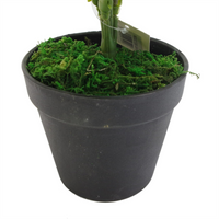 Artificial Foliage Plant Pot 60cm Artificial Green Stripe - Premium Quality and Realistic Design