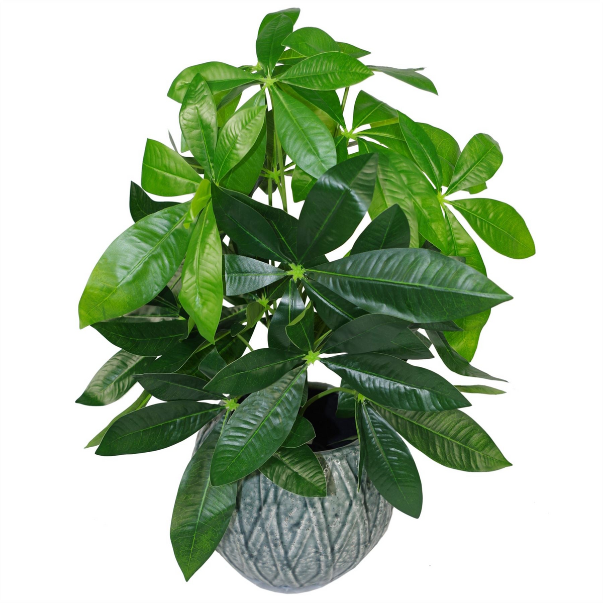 Artificial Foliage Plant Pot - 50cm Artificial Money Tree Plants | Leaf Design UK