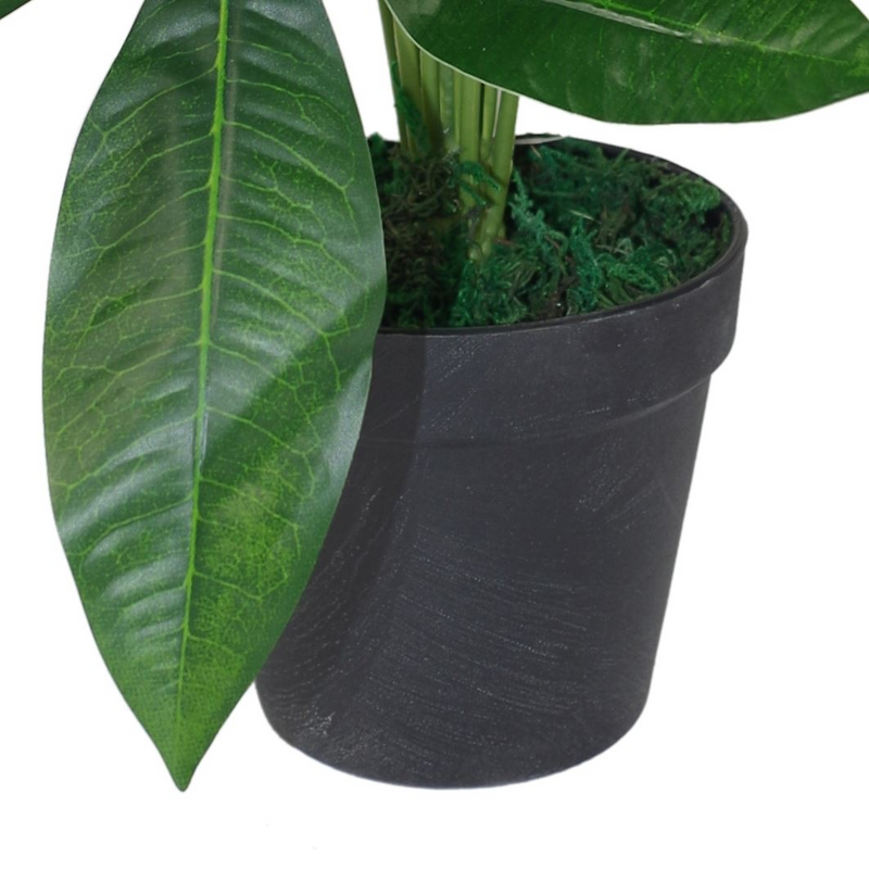 Artificial Foliage Plant Pot - 50cm Artificial Money Tree Plants | Leaf Design UK