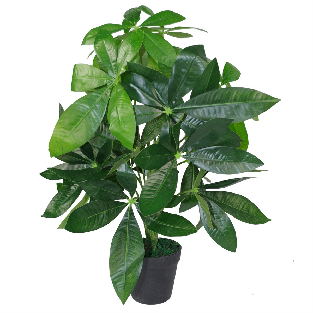 Artificial Foliage Plant Pot - 50cm Artificial Money Tree Plants | Leaf Design UK