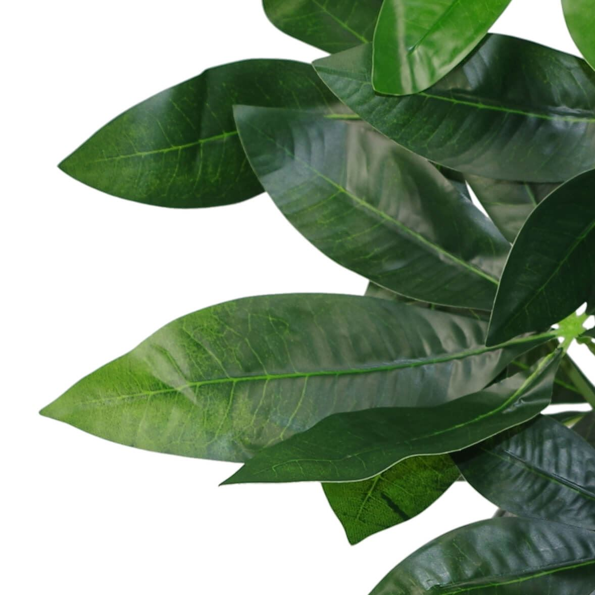 Artificial Foliage Plant Pot - 50cm Artificial Money Tree Plants | Leaf Design UK