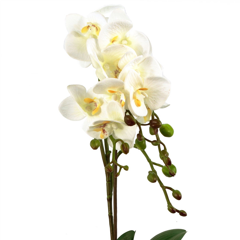 Artificial Orchid Plant White Gold Pot 54cm - Realistic and Elegant Design